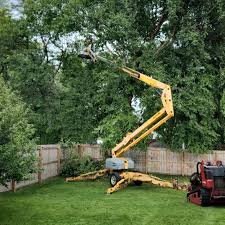 Best Tree Risk Assessment  in Lake Success, NY